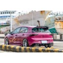 Escape catback Armytrix para Golf 8 R