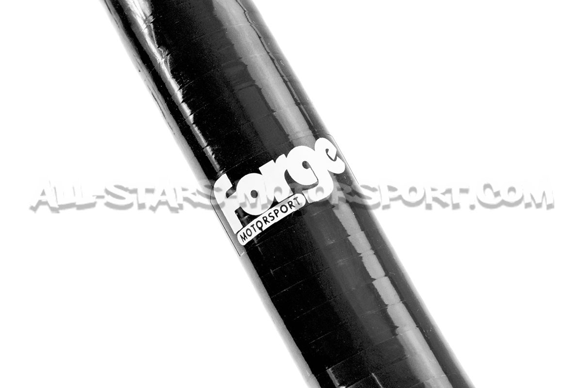 Durites de reniflard silicone Forge Motorsport pour Megane 4 RS