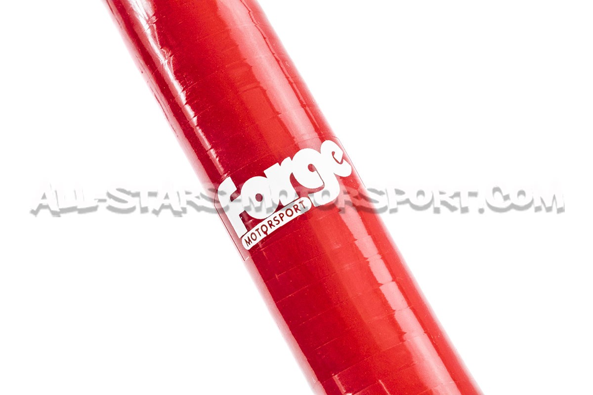Durites de reniflard silicone Forge Motorsport pour Megane 4 RS