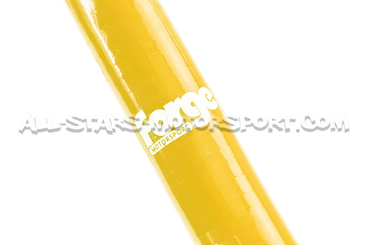 Durites de reniflard silicone Forge Motorsport pour Megane 4 RS
