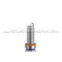 Bujías frias Dinan para BMW 140 / 240i / 340i B58 y M3 G80 / M4 G8x...
