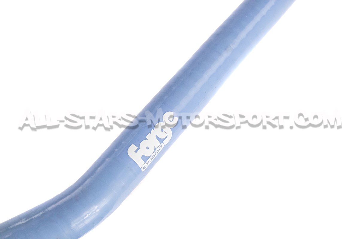 Durite de reniflard silicone Forge Motorsport pour Hyundai I20N