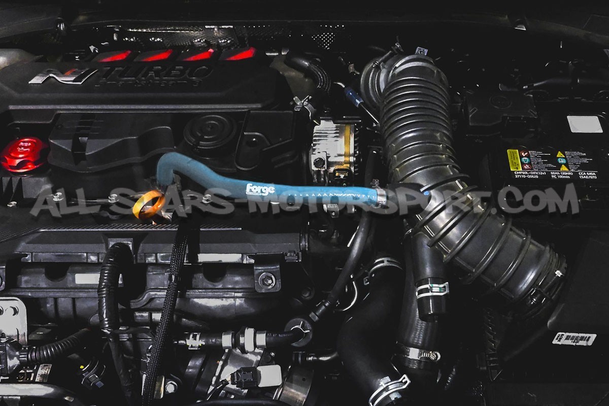 Manguito de respiración de aceite de silicona Forge Motorsport para...