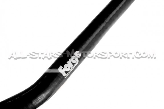Durite de reniflard silicone Forge Motorsport pour Hyundai I20N