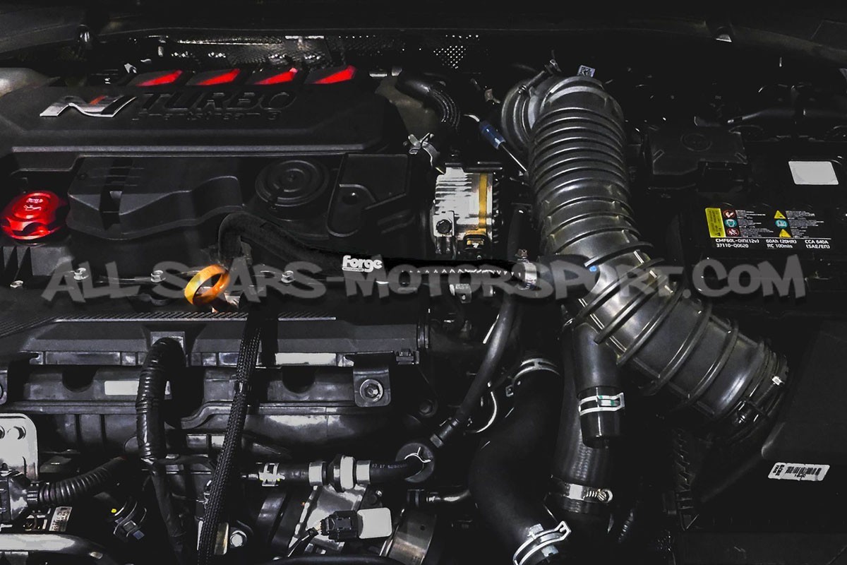Manguito de respiración de aceite de silicona Forge Motorsport para...