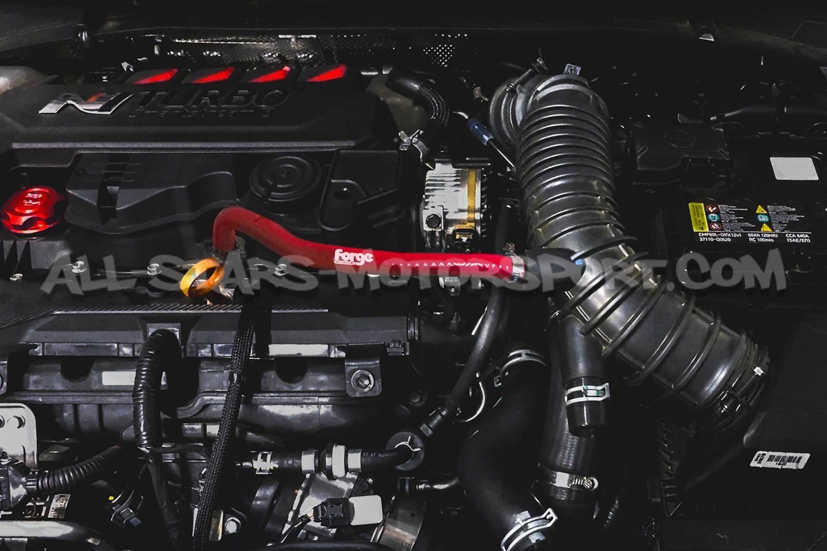 Hyundai I20N Forge Motorsport Oil Breather Silicone Hose