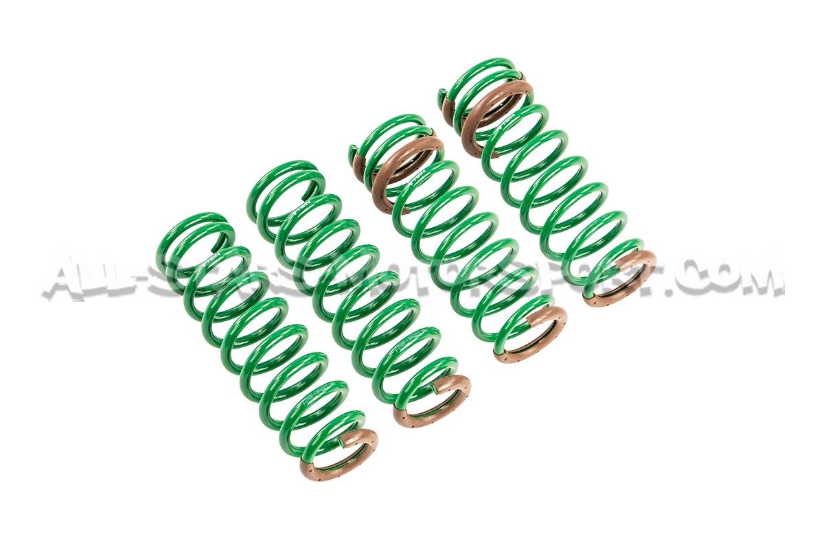 Honda Civic EK4 Tein S-Tech -23mm Lowering Springs