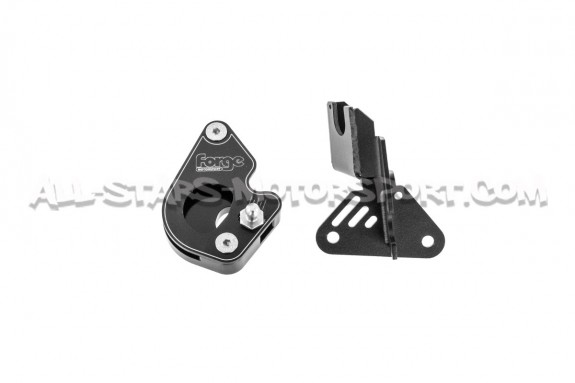 Short shift Forge Motorsport para Renault Clio 3 RS