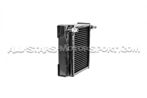 Mercedes CLA / A45 AMG W176 CTS Turbo Auxiliary Radiator Charge Cooler