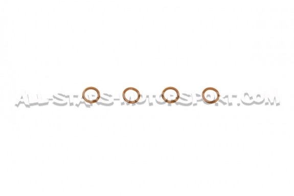 Megane 4 RS Goodridge Braided Brake Hose Lines Kit