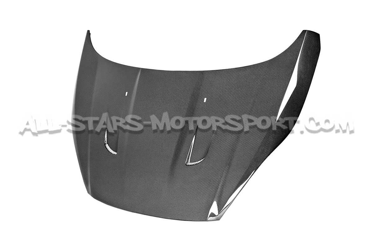 Ford Fiesta ST MK7 Seibon TM-Style Carbon Fiber Hood