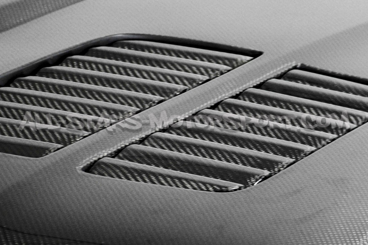 Capo de carbono Seibon GTR-Style para BMW M3 E46