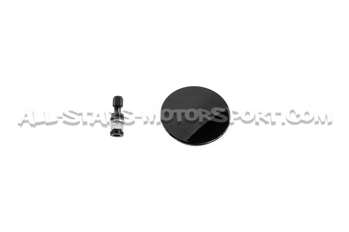 Llanta Rays Nismo LM GT4 EVO 19x10.5 - 5x114.3 ET15 - Black