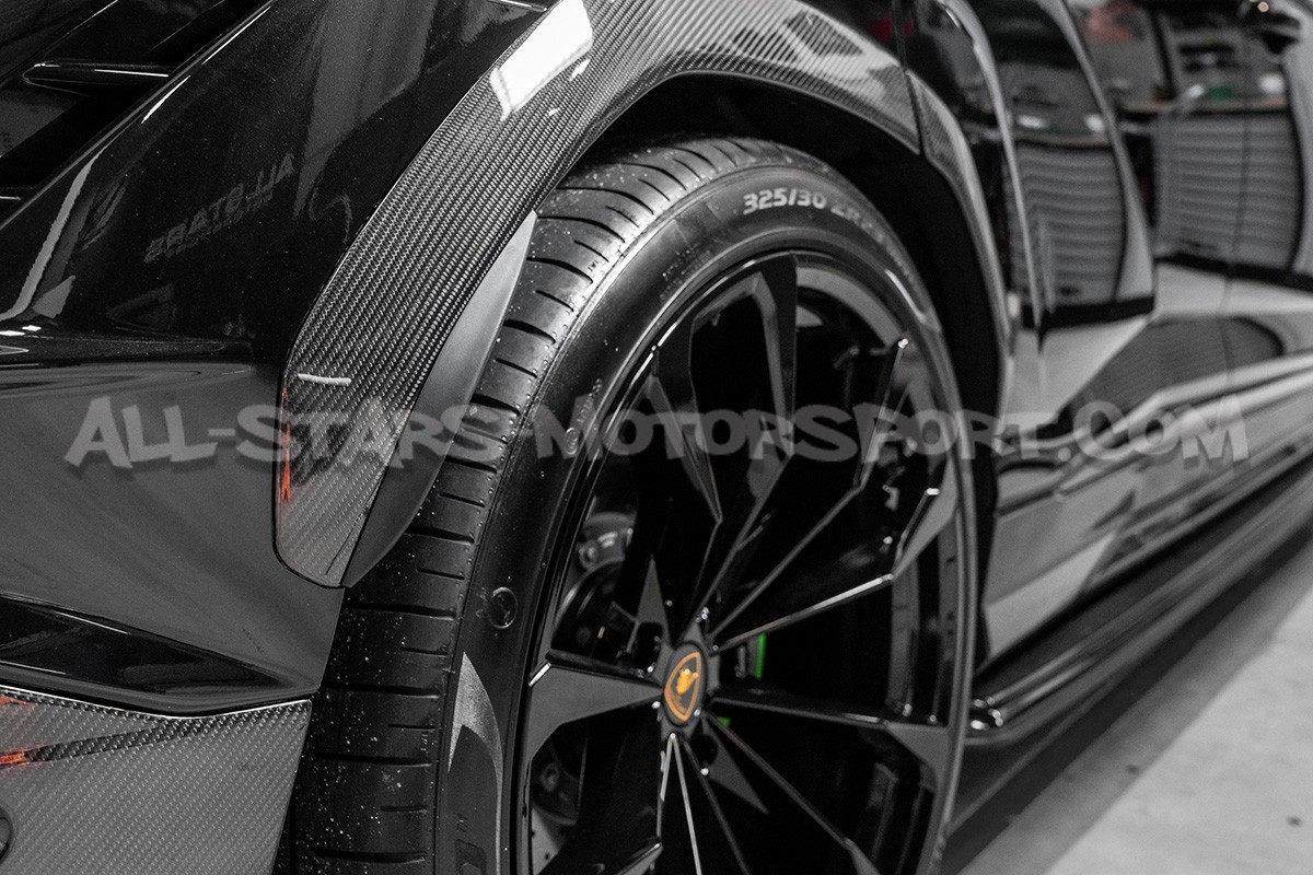 Eibach Arch Bumper Splash Guards