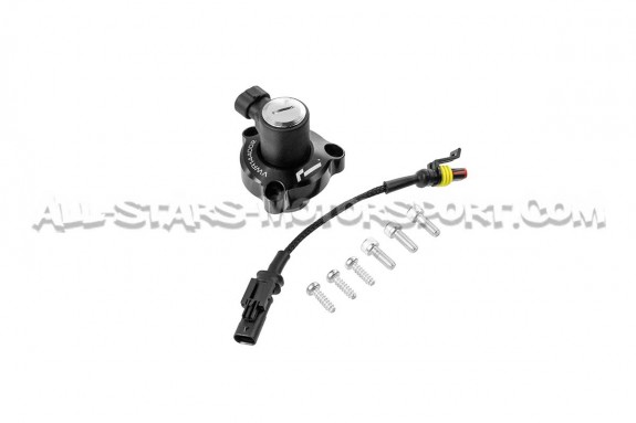 Golf 8 GTI / Golf 8 R / S3 8Y / Octavia NX 2.0 TSI EA888.4 Racingli...