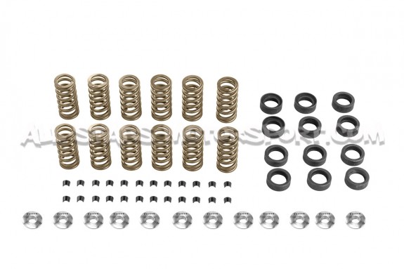 Kit de muelles y copelas de valvula Ferrea para Toyota Supra MK4 2JZ