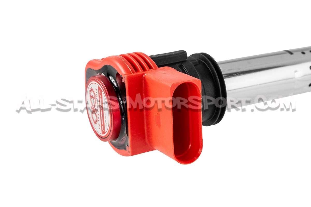 Bobinas de encendido Okada Projects plasma para Audi RS6 C6