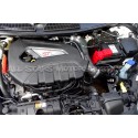 Admision ITG Maxogen para Fiesta Mk7 ST 180