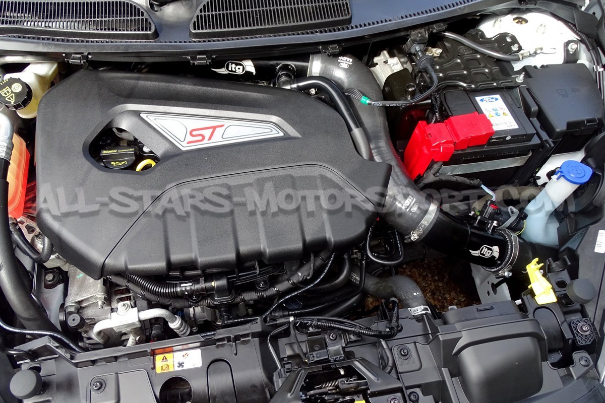 ITG Maxogen Intake for Fiesta Mk7 ST 180