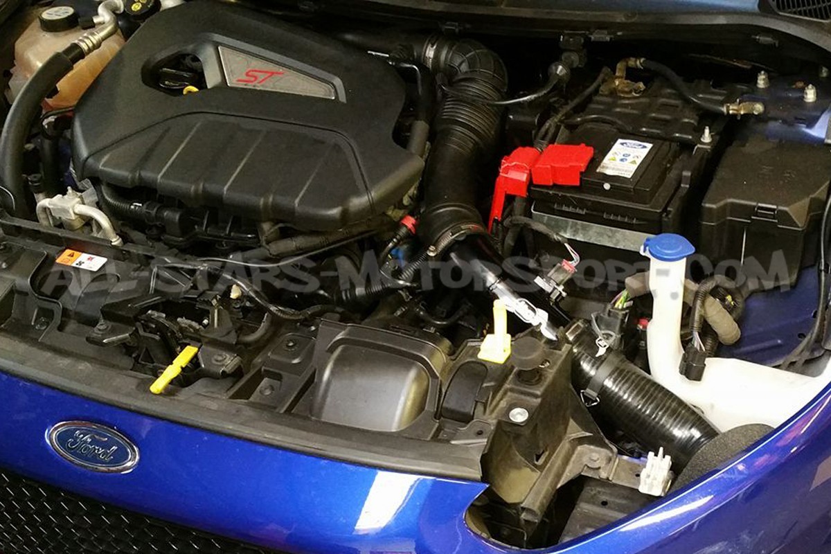 Admision ITG Maxogen para Fiesta Mk7 ST 180