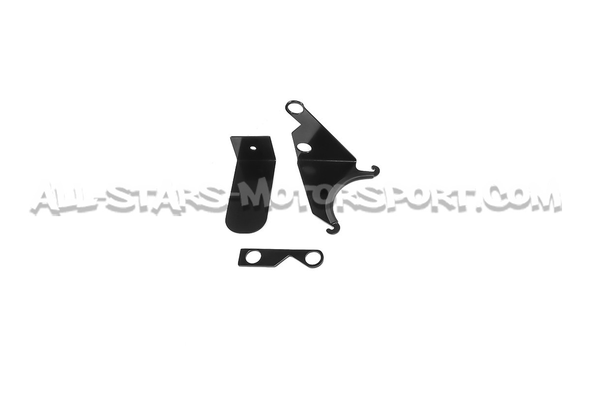 ITG Maxogen Intake for Fiesta Mk7 ST 180
