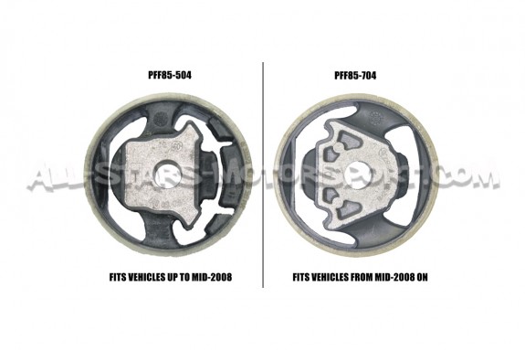 A3 / S3 8P / TT 8J et Golf 5 GTI / R32 / Leon 2 Cupra (04-08) Power...