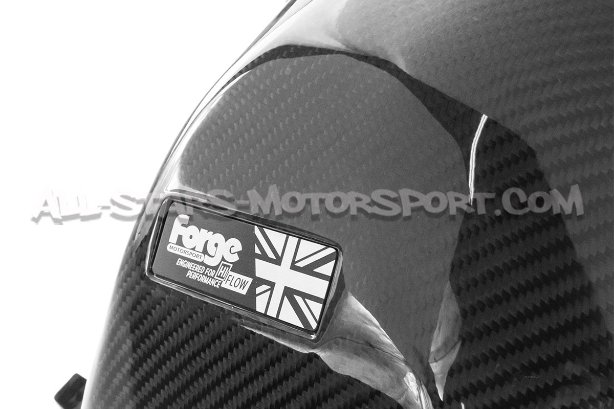 Admission carbone Forge Motorsport pour Mini Cooper S / JCW F6x