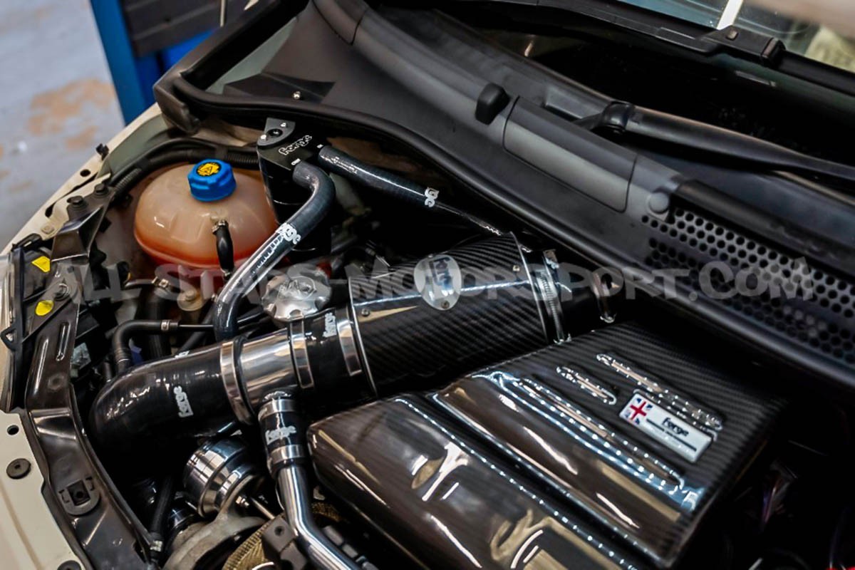 Oil Catch Can decantador de aceite Forge Motorsport para Abarth 595...