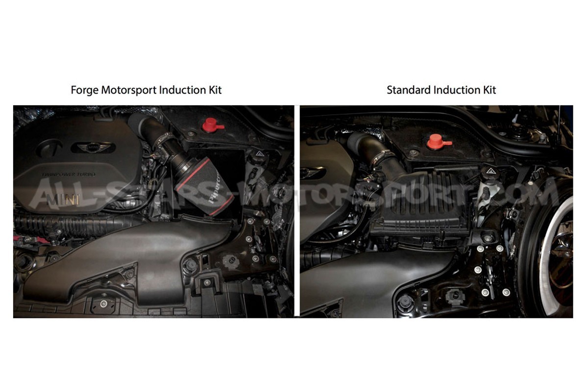 Forge intake for Mini Cooper S / JCW F56