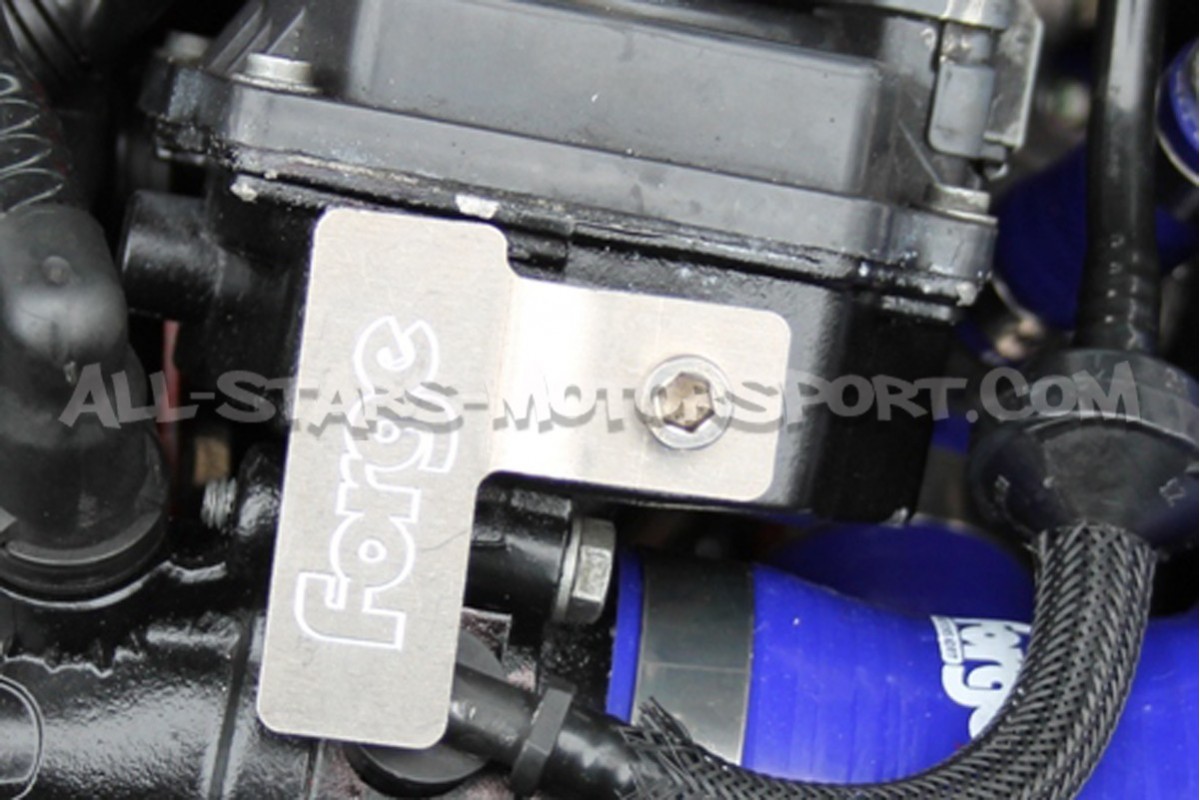Pinzas de sujeción  Forge para sensor de vació y presión para Megane 2 RS