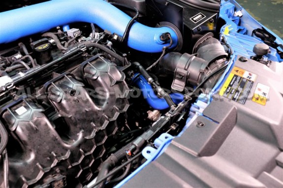 Durites de radiateur Mishimoto Ford Focus 3 RS