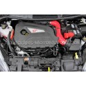 Fiesta ST 180 Mishimoto Silicone Induction Hose