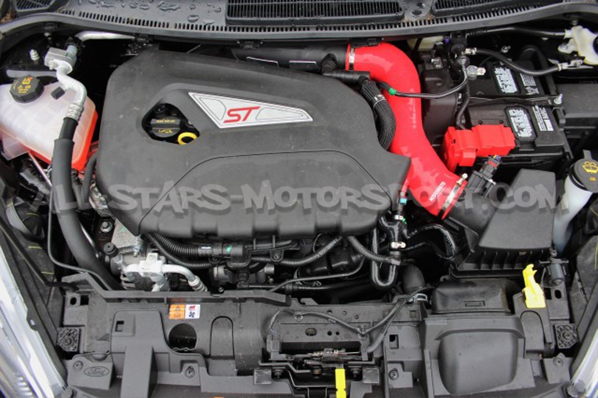 Durite d'induction Mishimoto pour Fiesta ST 180