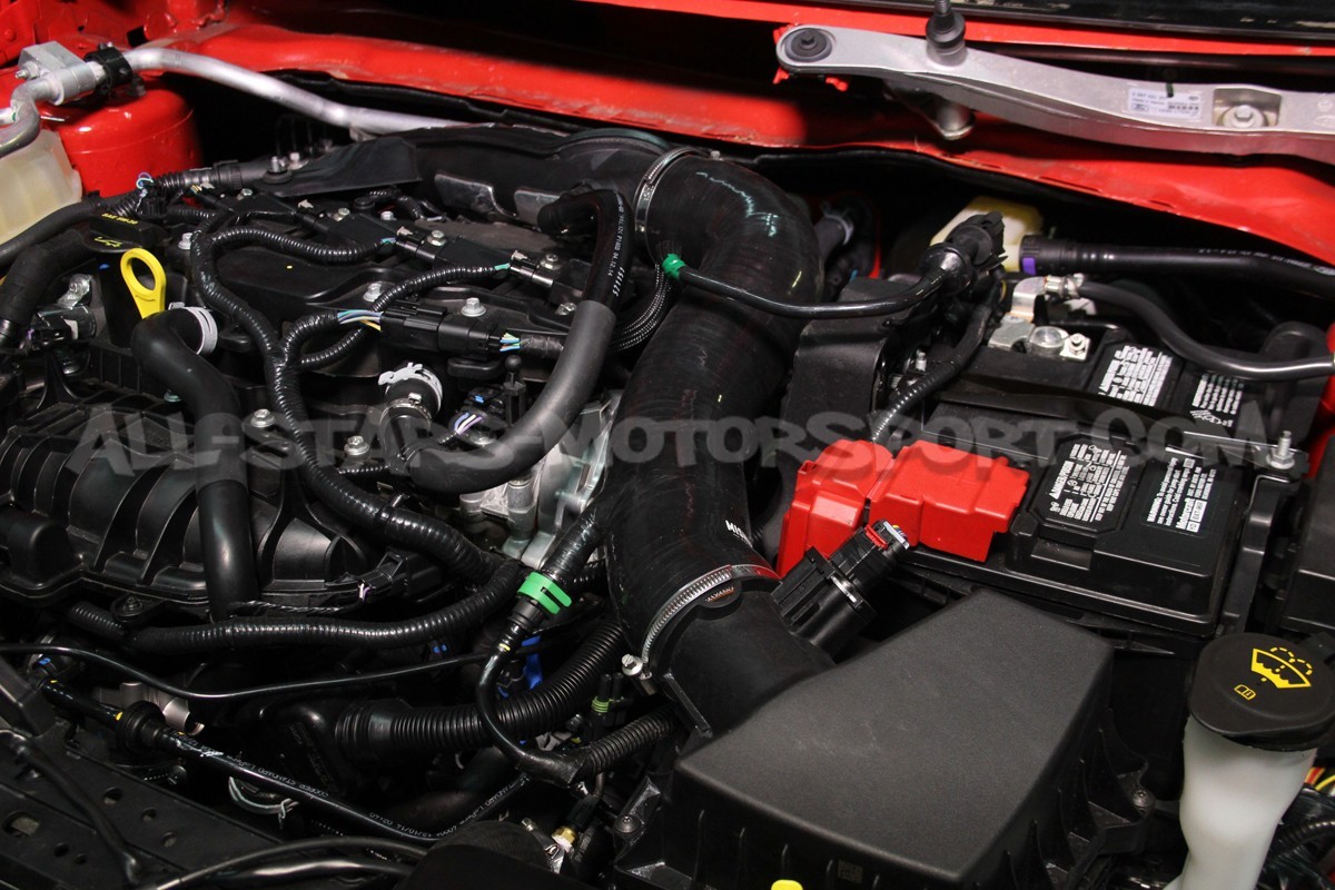 Durite d'induction Mishimoto pour Fiesta ST 180