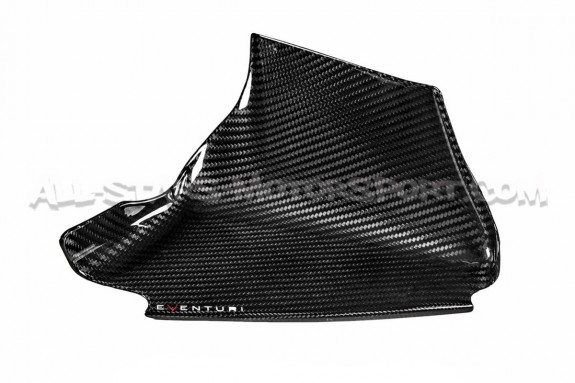 Admision de carbono Eventuri para BMW M3 E9x