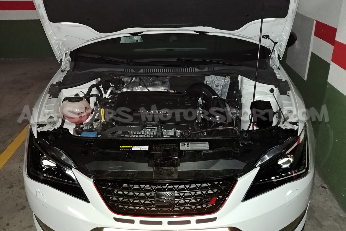Admision Racingline para Polo 6C GTI 1.8 TSI y Seat Ibiza 6P Cupra