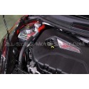 Vase d'expansion Mishimoto Fiesta ST 180
