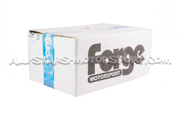 Oil Catch Can Forge pour Golf 5 GTI / Audi S3 8P / Golf 6 R / Leon 2 Cupra 2.0 TFSI