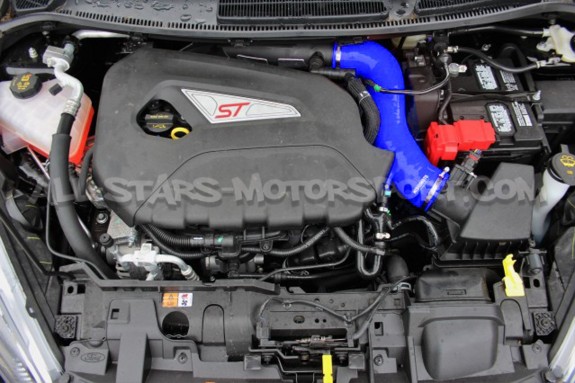 Durite d'induction Mishimoto pour Fiesta ST 180