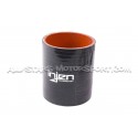 Ford Fiesta ST 180 Injen Intake