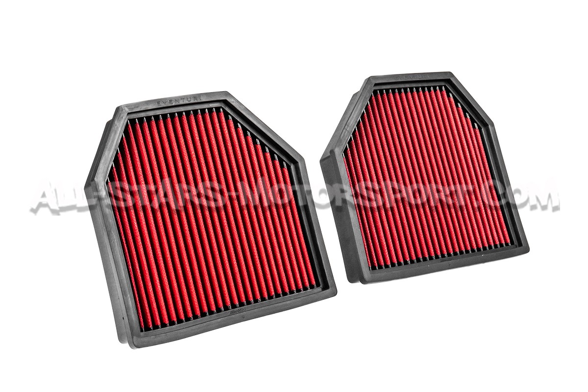 BMW M3 F8x / M4 F8x / M2C Eventuri Panel Air Filters