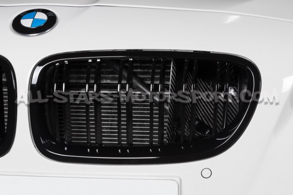 Admision  de carbono Eventuri para BMW M5 F10