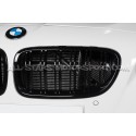 Admision  de carbono Eventuri para BMW M5 F10