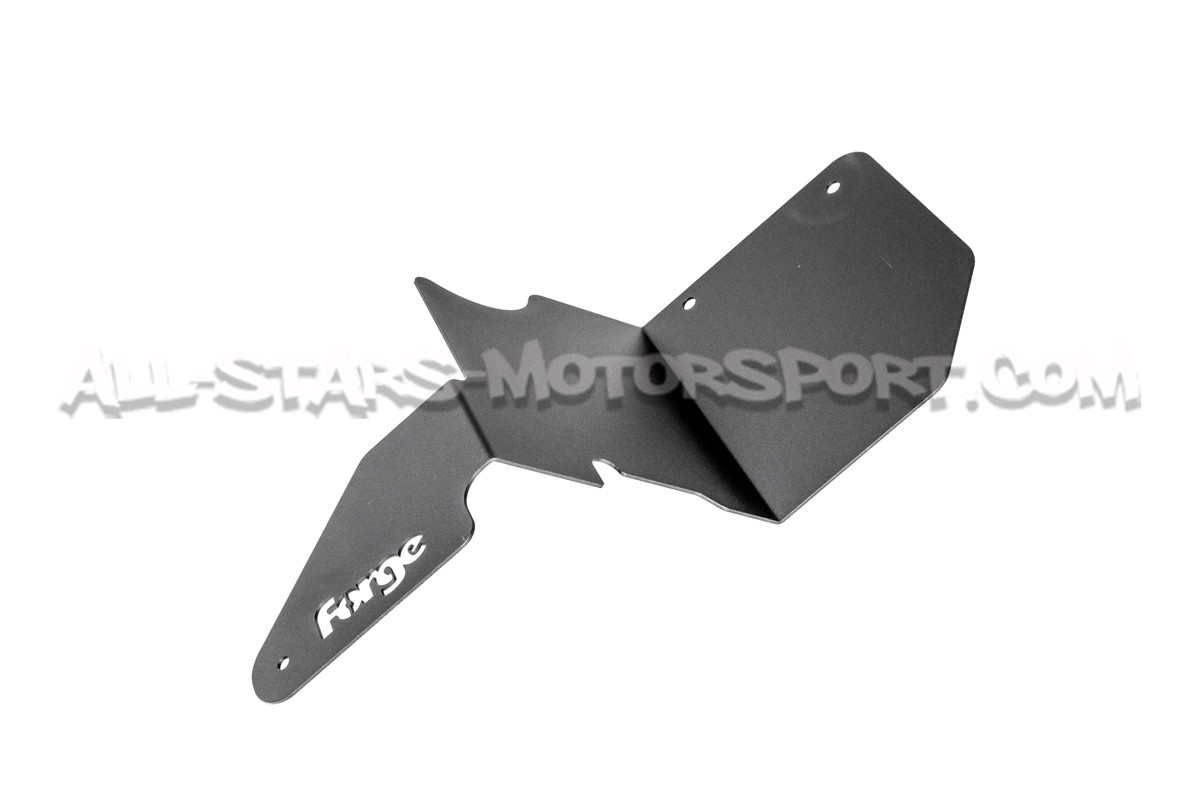 Ford Fiesta ST 180 Forge Intake