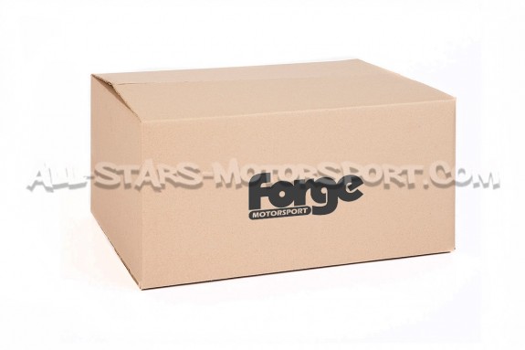 Radiador de aluminio Forge para Renault Megane 3 RS