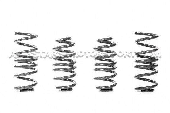 Audi S4 B9 Racingline Sport Springs