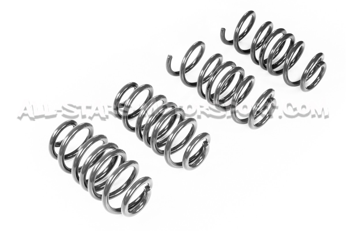 Audi S4 B9 Racingline Sport Springs