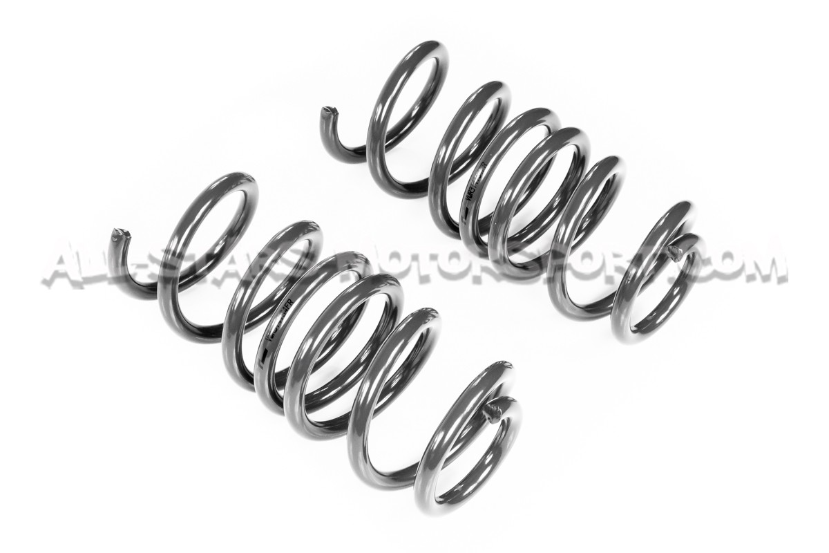 Audi S4 B9 Racingline Sport Springs
