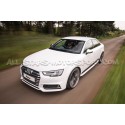 Muelles suspension Racingline para  Audi S4 B9