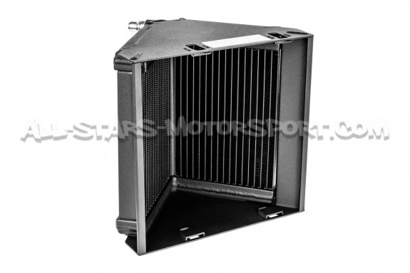 Mercedes A45 AMG Forge Side Mount Chargecooler
